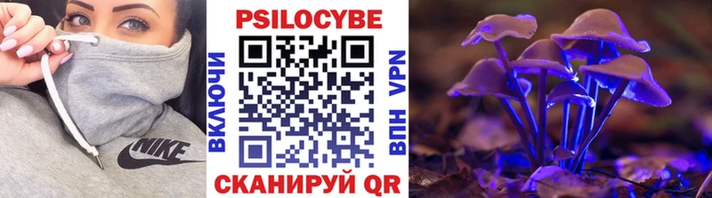 Галлюциногенные грибы мицелий  Архангельск 